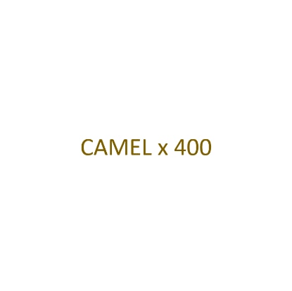 Image de CAMEL - Filtre x 400