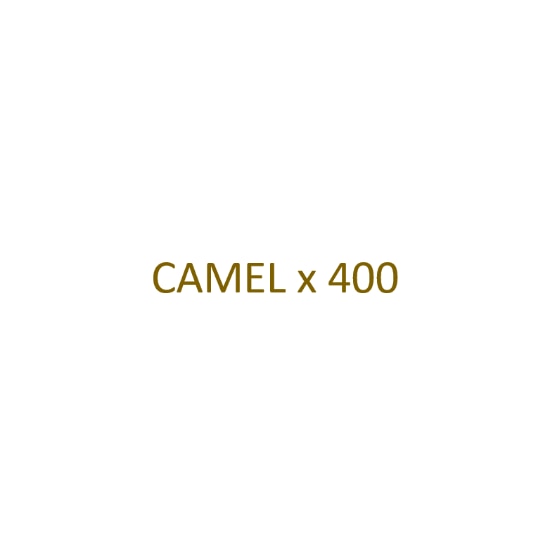 Image sur CAMEL - Filtre x 400